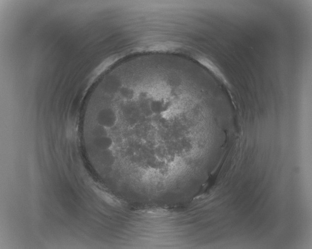 X0000079330483200611251835