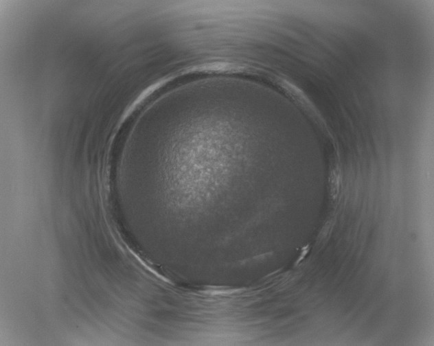 X0000079330484200611251835