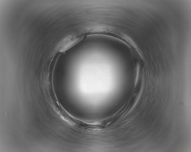 X0000079330485200611251835