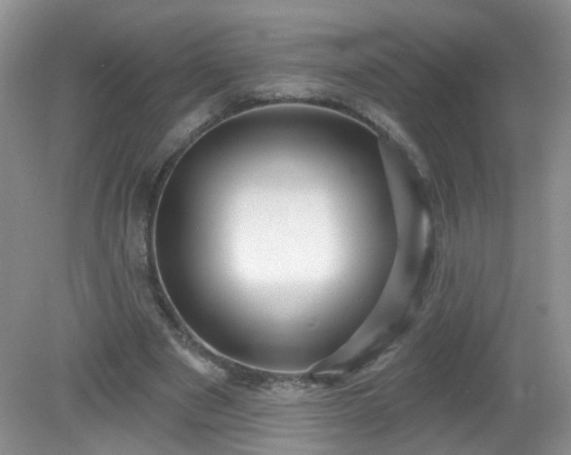 X0000079330489200611251835