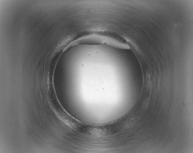 X0000079330494200611251835