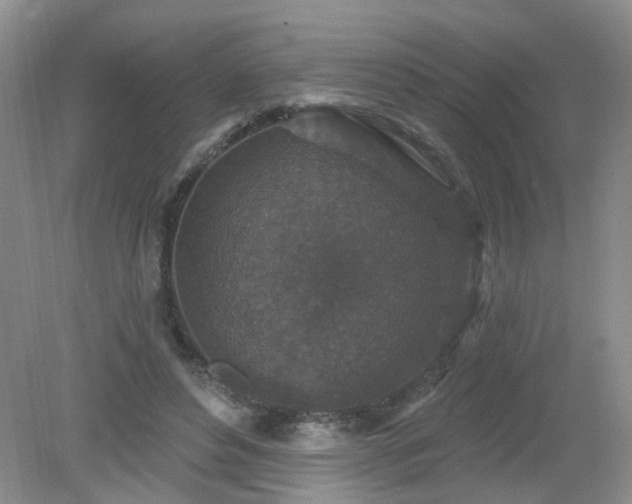 X0000079330496200611251835