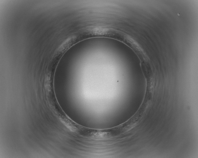 X0000079330497200611251835