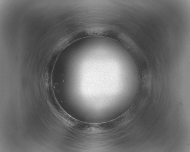 X0000079330498200611251835