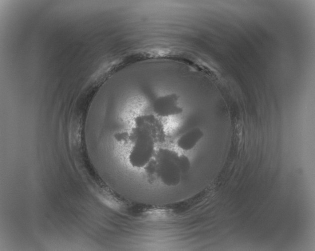 X0000079330499200611251835