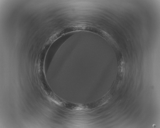 X0000079330504200611251834