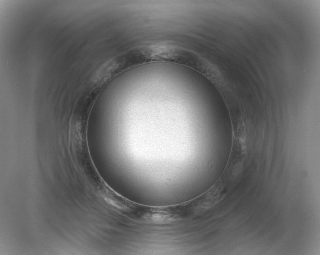 X0000079330506200611251834