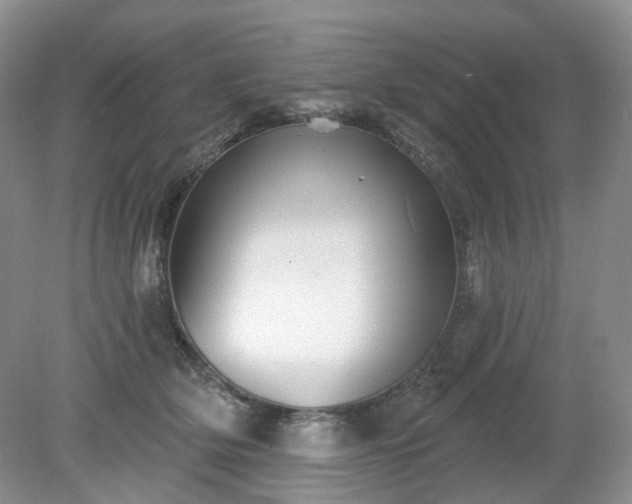 X0000079330514200611251834