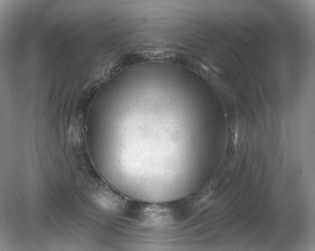 X0000079330515200611251834