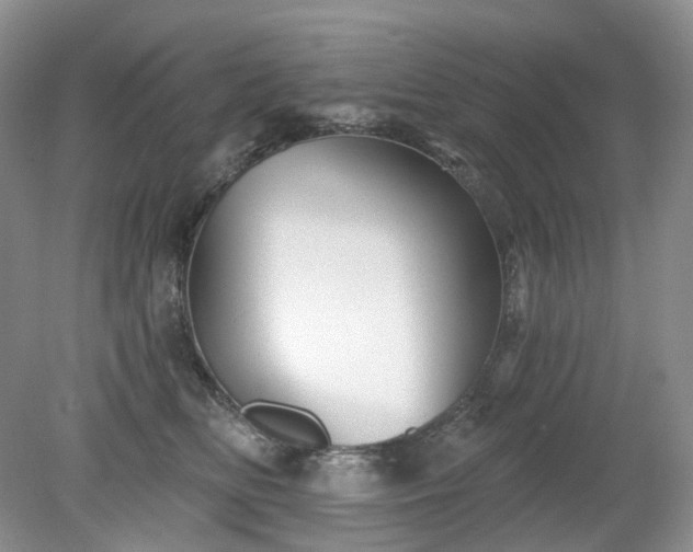 X0000079330518200611251834