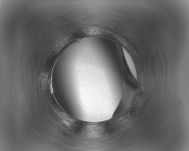 X0000079330521200611251834