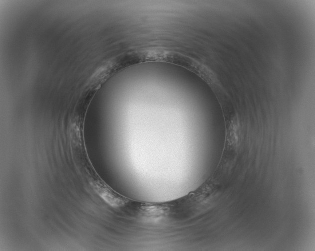 X0000079330522200611251834