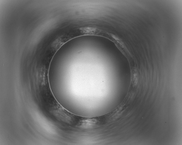 X0000079330525200611251834