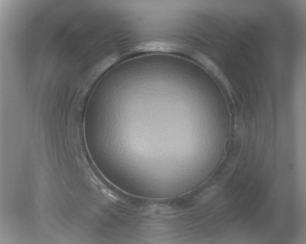 X0000079330529200611251833