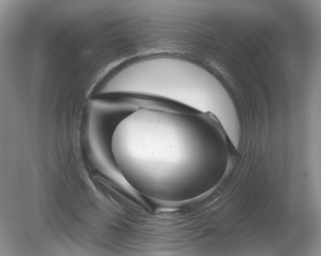 X0000079330540200611251833