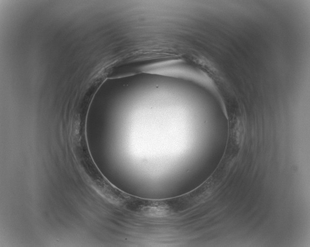 X0000079330548200611251834