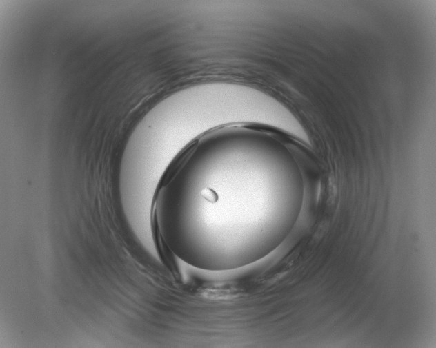 X0000079330556200611251834