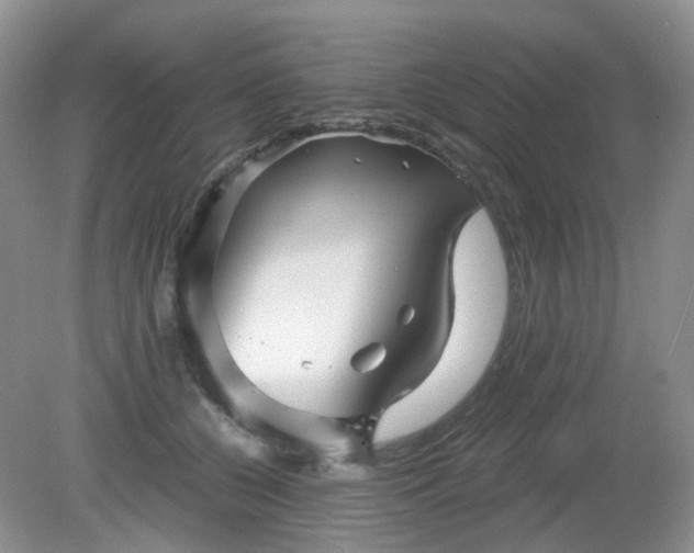 X0000079330560200611251834