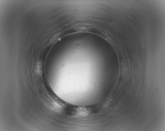X0000079330562200611251834