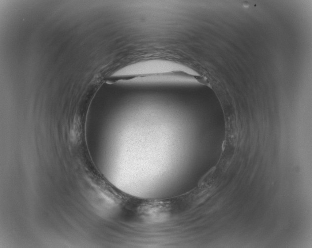 X0000079330563200611251834