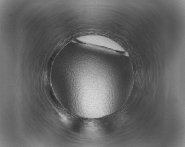 X0000079330564200611251834