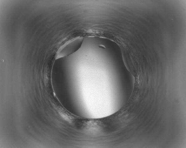 X0000079330566200611251834