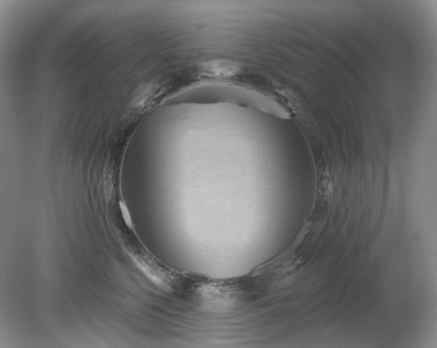 X0000079330568200611251834
