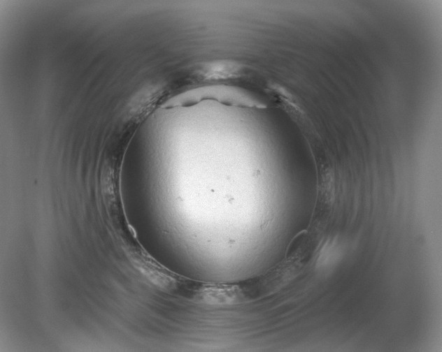 X0000079330571200611251834