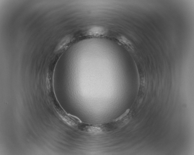 X0000079330572200611251834