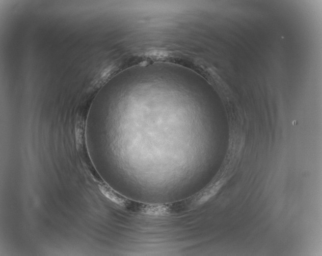 X0000079330576200611251834