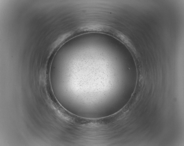 X0000079330578200611251833