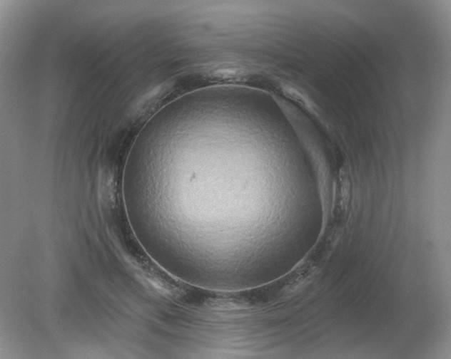 X0000079330597200611251833