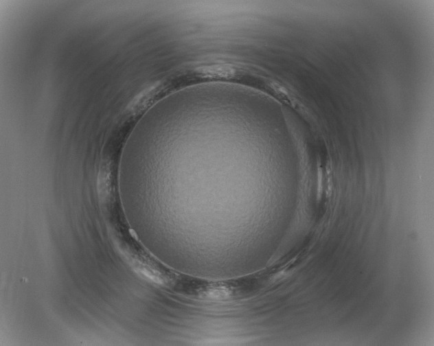 X0000079330600200611251833