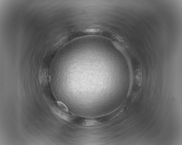 X0000079330605200611251833