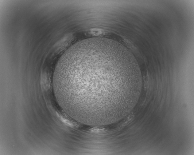 X0000079330606200611251833