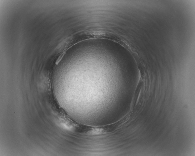 X0000079330609200611251833