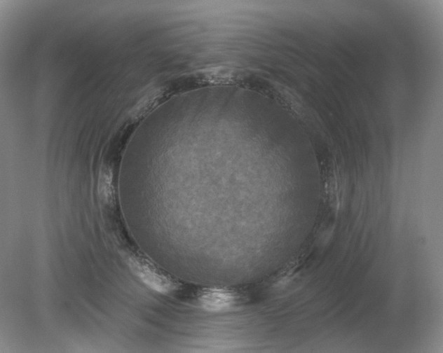 X0000079330610200611251833
