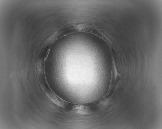 X0000079330611200611251833