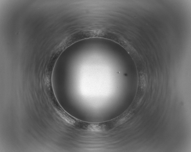 X0000079330613200611251833