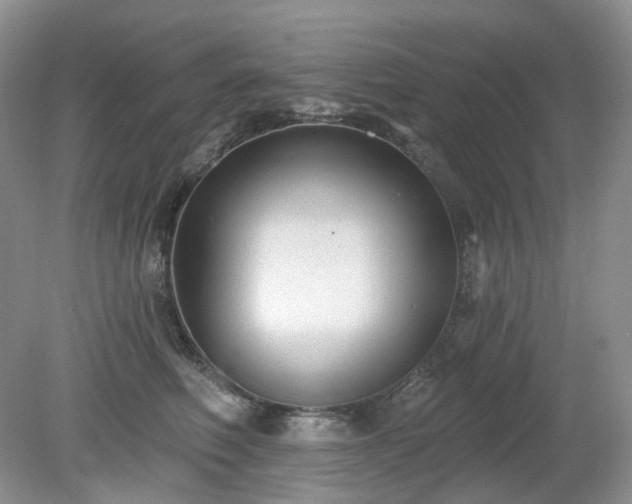 X0000079330614200611251833
