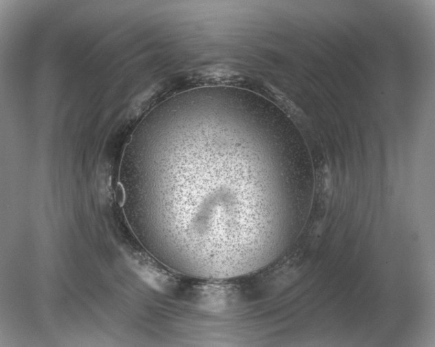 X0000079330615200611251833
