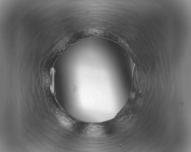 X0000079330617200611251833