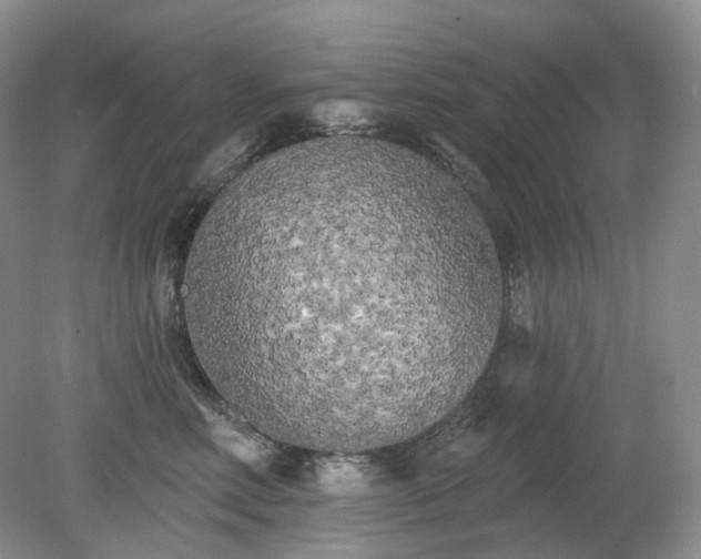 X0000079330618200611251833