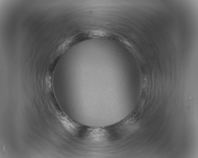 X0000079330621200611251832