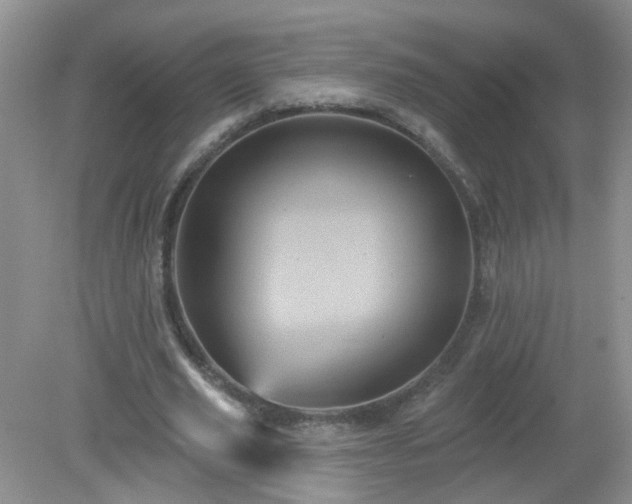 X0000079330629200611251832