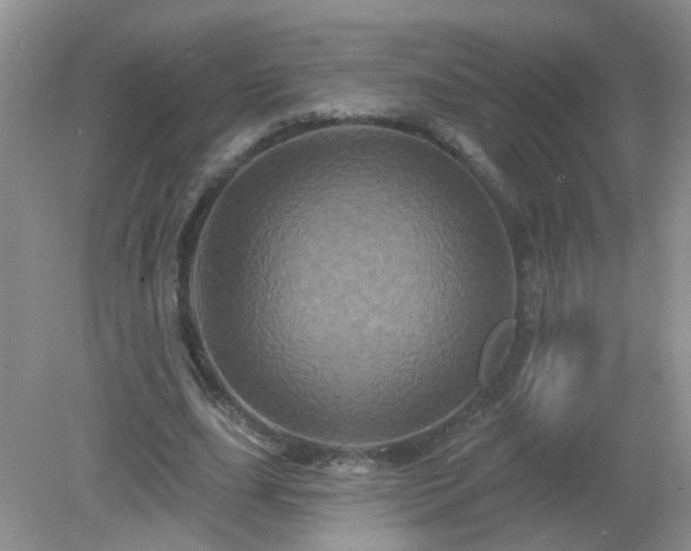 X0000079330631200611251832