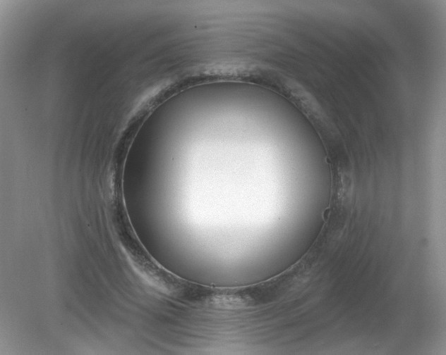 X0000079330636200611251832