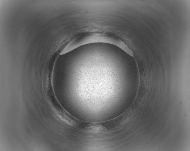 X0000079330642200611251832