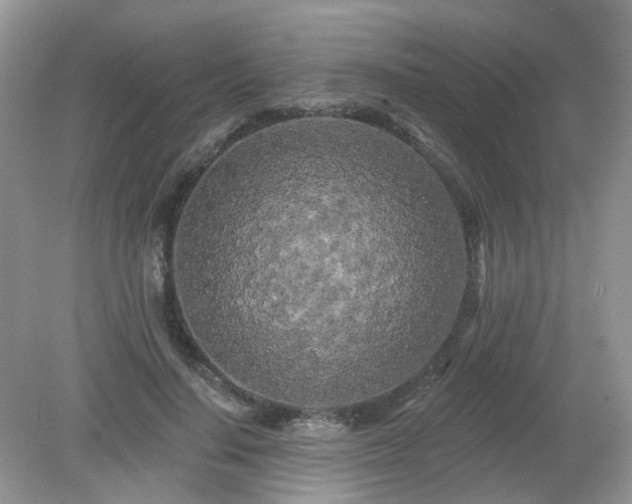 X0000079330644200611251832