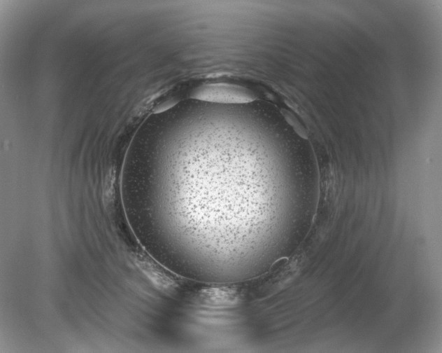 X0000079330660200611251832